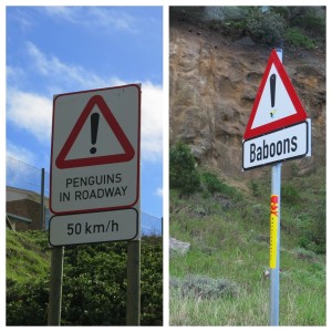 These road signs continue to remind us that we're not in Kansas anymore, Toto.
