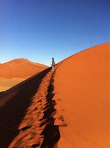 Hike up Dune 45