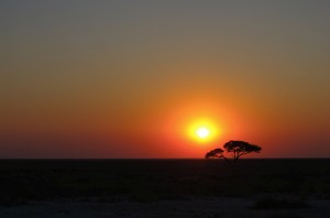 Sunrise in Etosha.