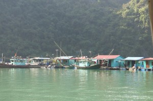 A glimpse of one of the floating villages. This year, due to destruction from the storms, the government is forcing the 1,600 folks who inhabit these fishing villages (year-round) to move inland. The locals are terrified as ALL they know is life on the water...it's really sad.