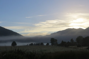 Misty morning start to our Lake Matheson walk.