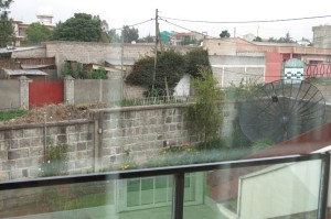 A view of our hosts' yard, street and neighborhood.