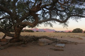 beautiful Sossusvlei campsite