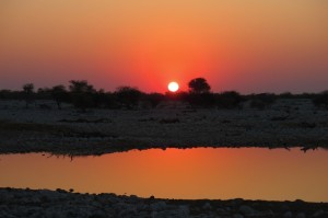 Sunset at the waterhole.