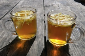 Apple Tea in the Manang Valley