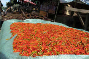 Some chili peppers out to dry near a local market. 