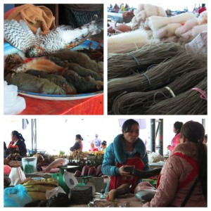 Scenes from the market. Fish, noodles and...yes, squirrels (and is that some sort of winged creature?).