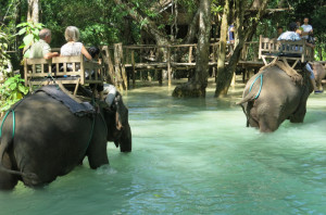 Elephant rides at Tat Se. 