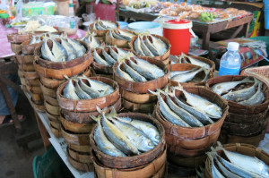 Dried mackerel at the market. Smells about exactly what you'd think it would smell like.