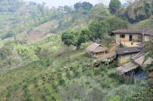 Hill tribe homes on the mountainside.