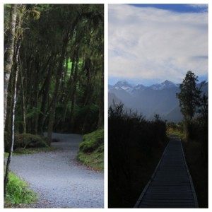 A couple shots from the path in and out of the lake.