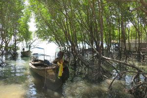 Plush parking spot for a longtail in the mangroves near town.