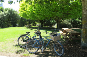 Idyllic picnic spots outside Te Kairanga. Bikes started looking pretty good to us after the sweat really started flowing on the walk.