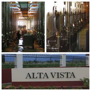The well-oiled machine, Alta Vista, produces over 2 million bottles of wine per year. 